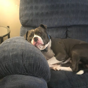 Meet your Posher, Brianna